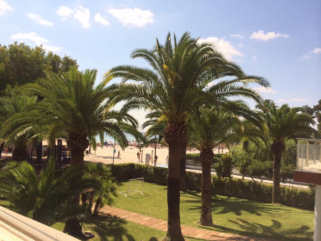 Minerva Beach Port de Alcudia  Room photo